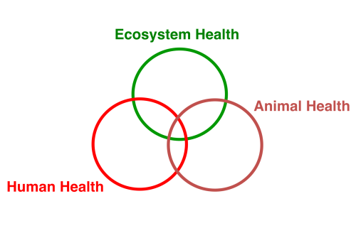 Screen Shot 2015-01-25 at 11.27.45 PM